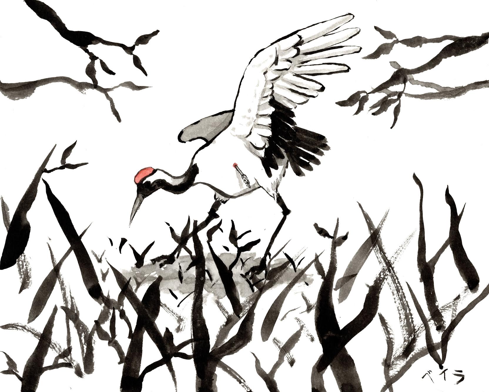 Andrea Kamens, storyteller - Crane and Branches Illustration